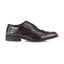 Kilkenny Mens Leather Star Brogue Shoe - Amen Shoes