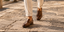 iscover our top five leather loafers designed for holidays, smart-casual outfits, summer weddings, office wear and weekend occasions. 