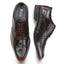 Kilkenny Mens Leather Star Brogue Shoe - Oxblood